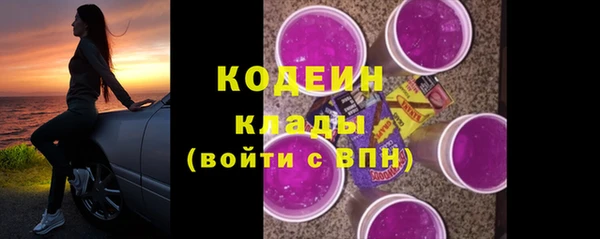 прущие грибы Богородицк