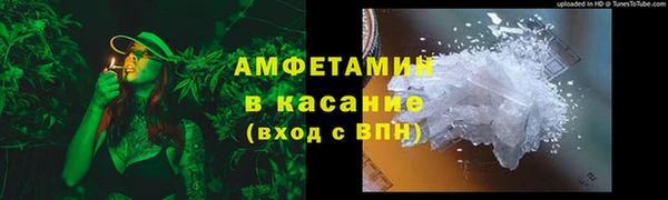 прущие грибы Богородицк