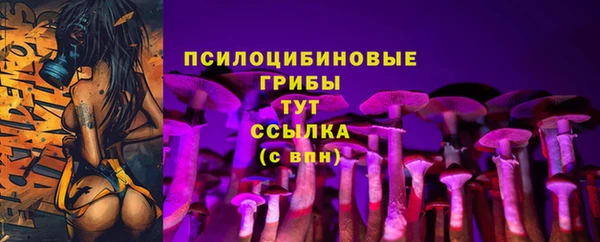 прущие грибы Богородицк