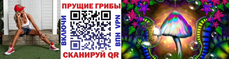 Псилоцибиновые грибы Psilocybine cubensis  даркнет официальный сайт  Козловка 